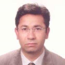 Prof. Dr. Metin YASA